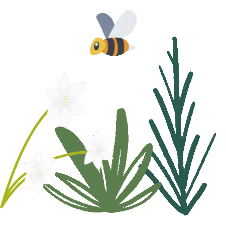 Animated Hovering Bee and Plant